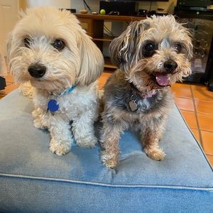 Meet your Posher, Francesca